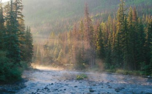 Rio Grande - River Hill Campground