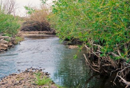 Embargo Creek / Cathedral CG Embargo Creek / Cathedral CG