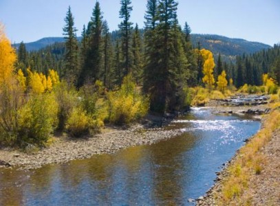 South Fork - Highway Springs CG South Fork - Highway Springs CG