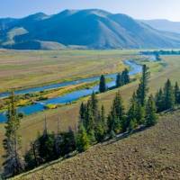 Riowwgfloatcreede