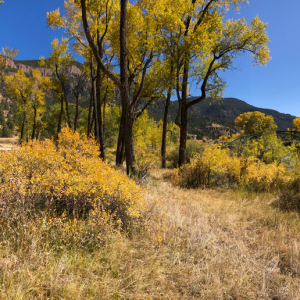 south-fork-coller-b4studio-2